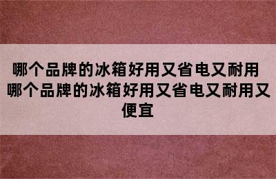 哪个品牌的冰箱好用又省电又耐用 哪个品牌的冰箱好用又省电又耐用又便宜